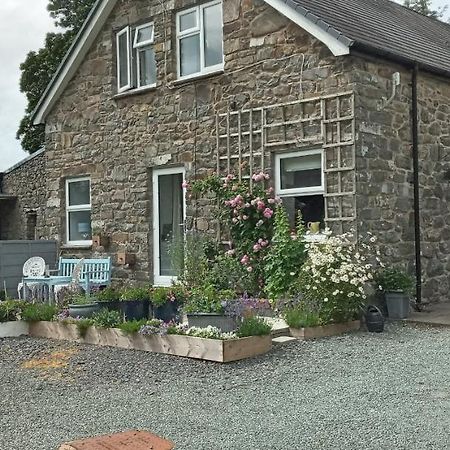 Pant Glas Barn Llanbrynmair Esterno foto