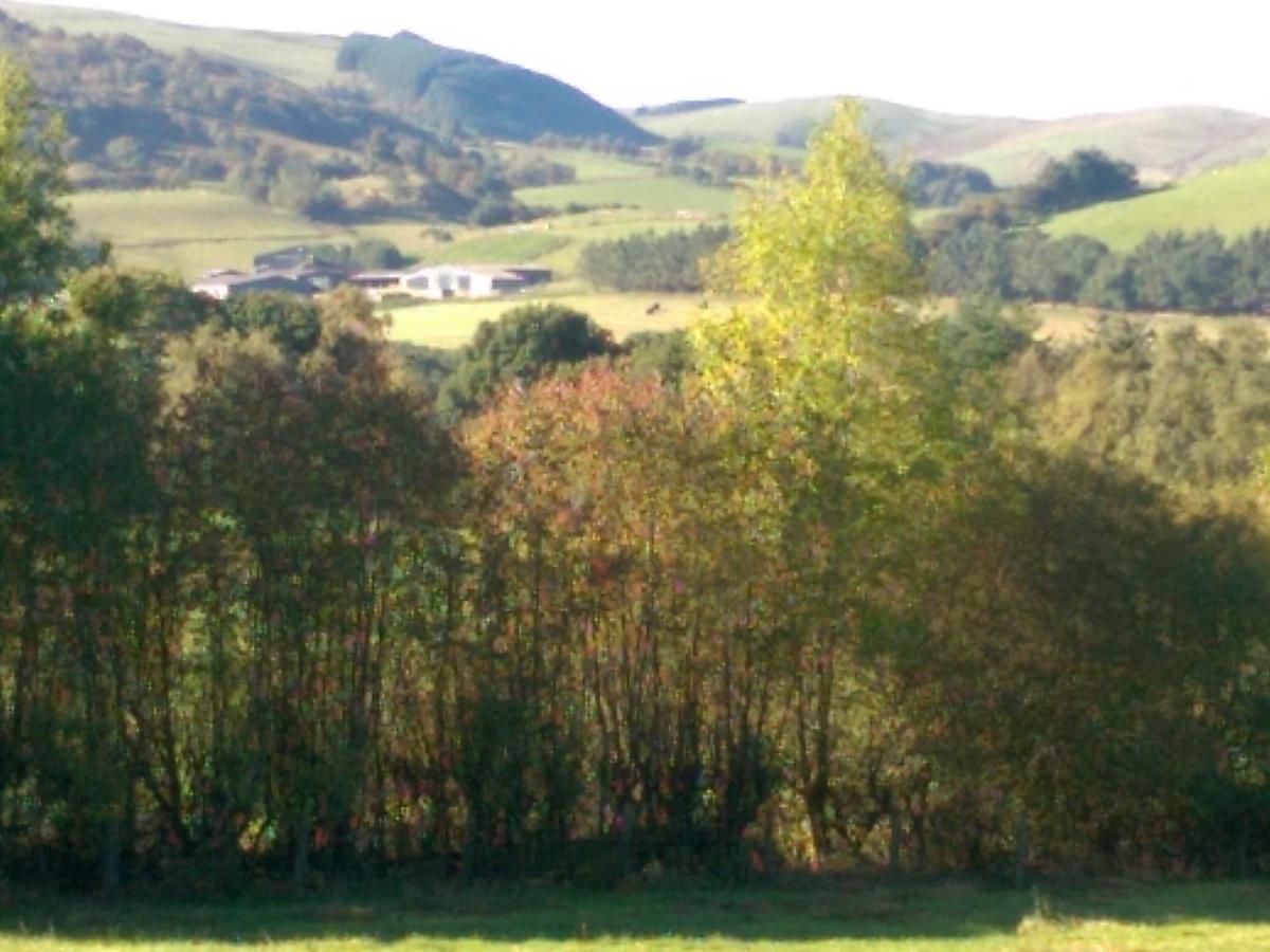 Pant Glas Barn Llanbrynmair Esterno foto