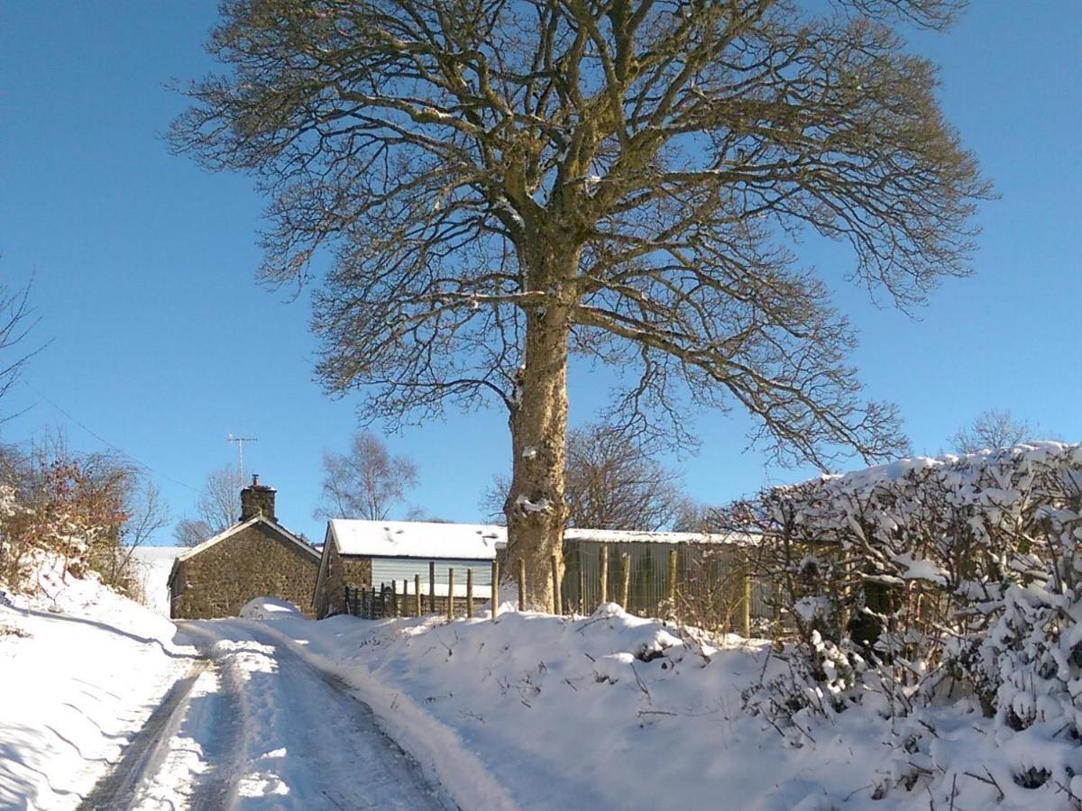 Pant Glas Barn Llanbrynmair Esterno foto