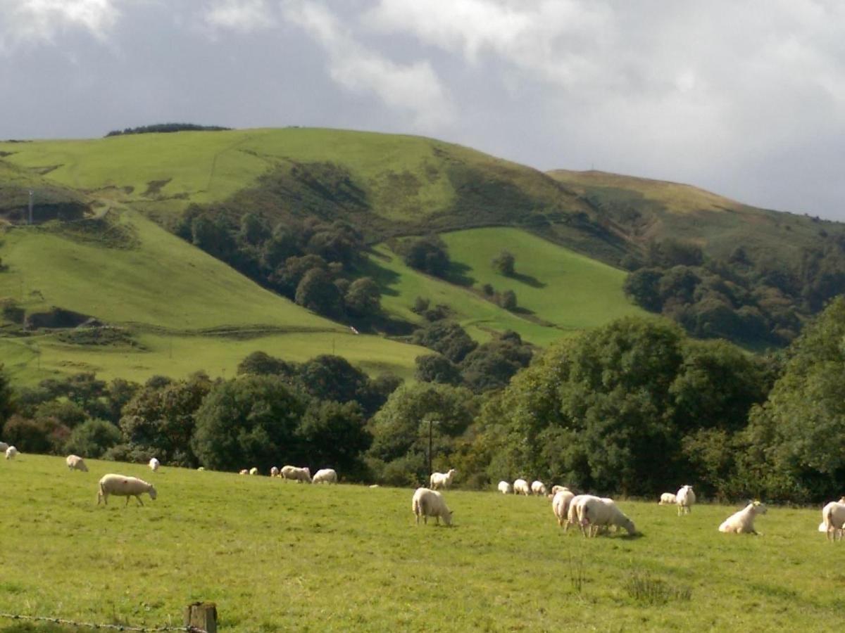 Pant Glas Barn Llanbrynmair Esterno foto