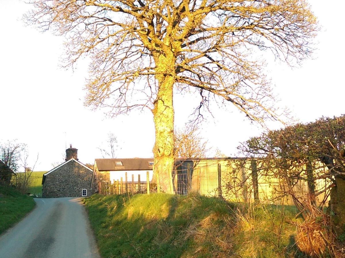 Pant Glas Barn Llanbrynmair Esterno foto